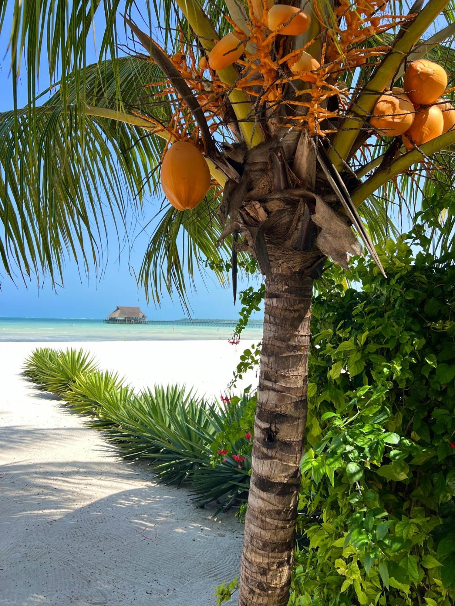 Karibu Beach Resort Pongwe Luaran gambar